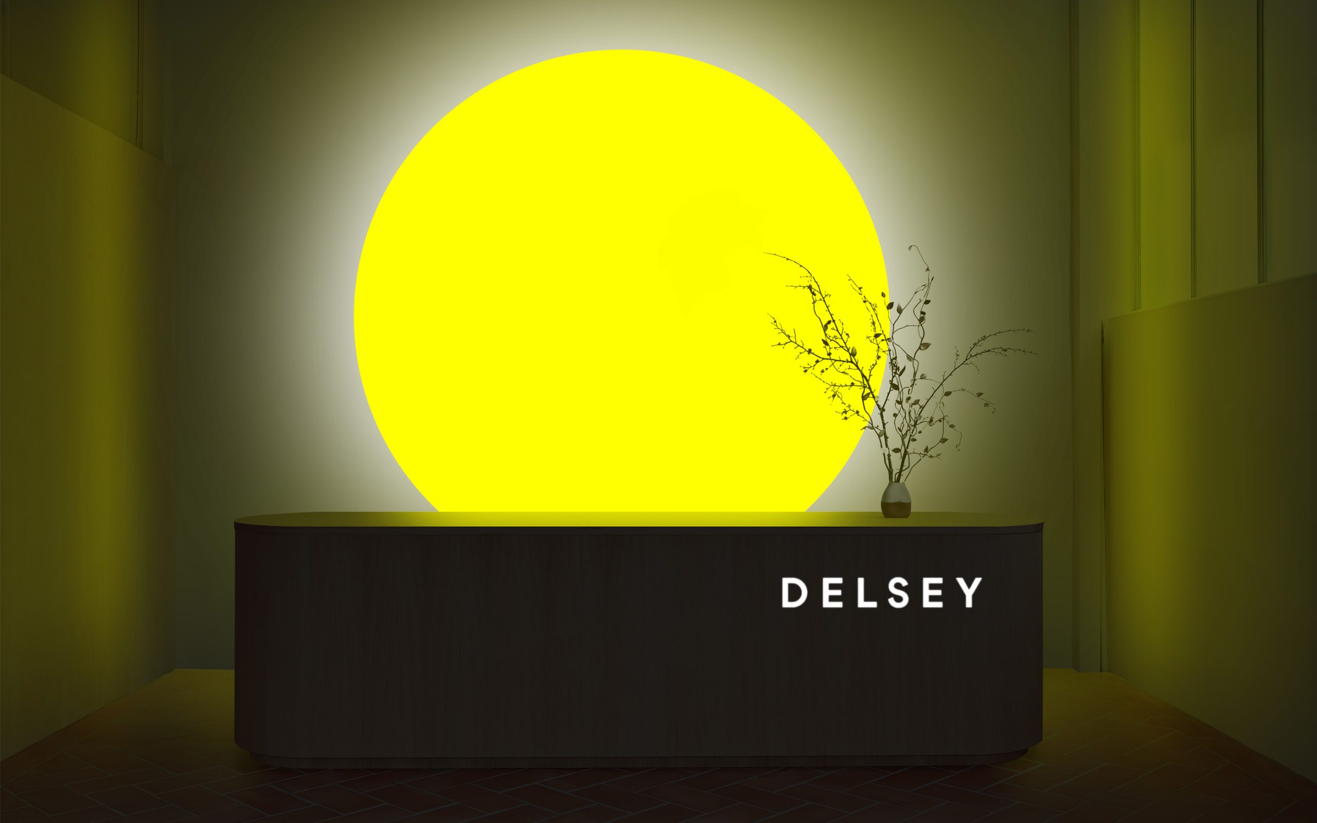 Delzy Delsey Paris